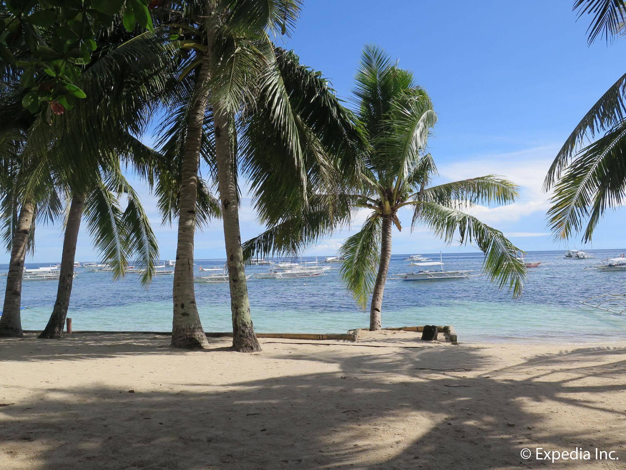 Bohol Divers Resort Totolan المظهر الخارجي الصورة